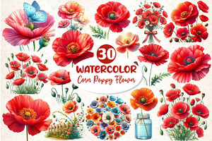 Corn Poppy Flower Bloom Clipart, an Illustration by Dream Creation