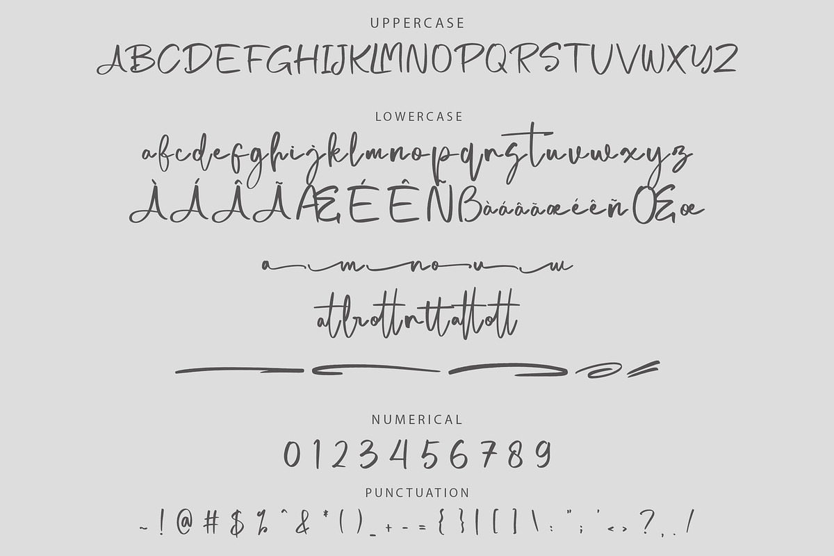 Petraloka Brush Script Font, a Script Font by NTC Graphic (Photo 8 of 9)