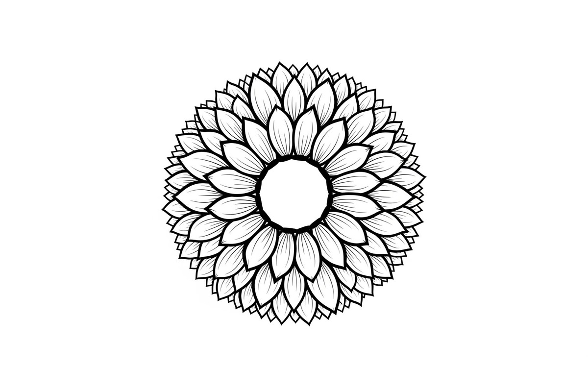 Floral Mandala Circle Frame Bundle, an Illustration by Gaye Art (Photo 34 of 51)