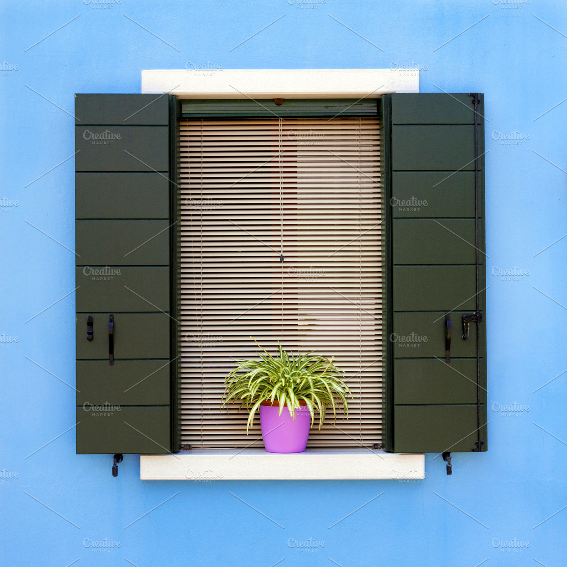 Colorful window in Venice, an Architecture Photo by BOOCYS