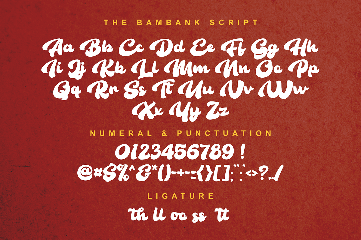 The Bambank Script, a Script Font by Dumadistyle (Photo 2 of 8)