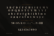 Cikon Luxury Fashion Serif Font, a Serif Font by Graphicxell (Thumbnail 7 of 8)