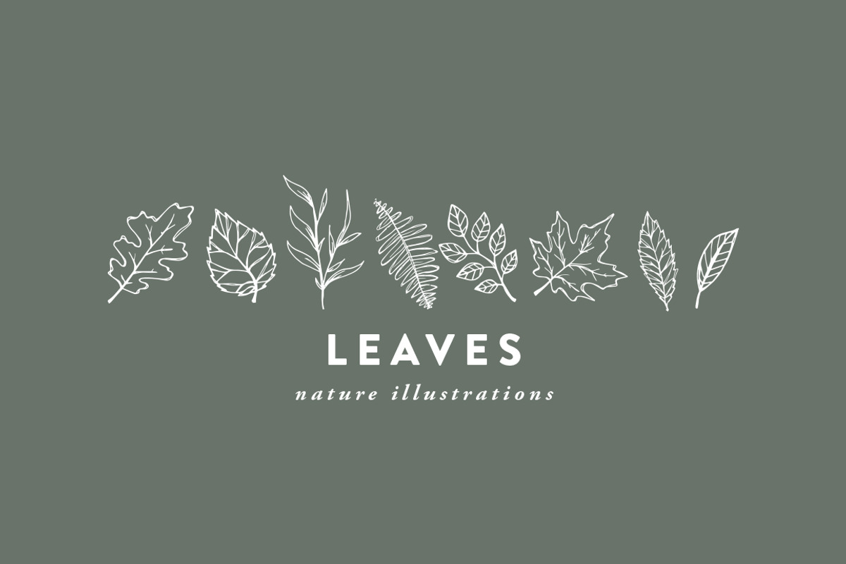Hand-Illustrated Leaf Vectors, an Illustration by Britt Fabello (Photo 2 of 5)
