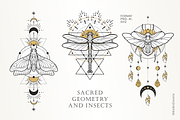 Skakralny geometry and beetles, an Illustration by Siriliadka Dreams (Thumbnail 6 of 10)