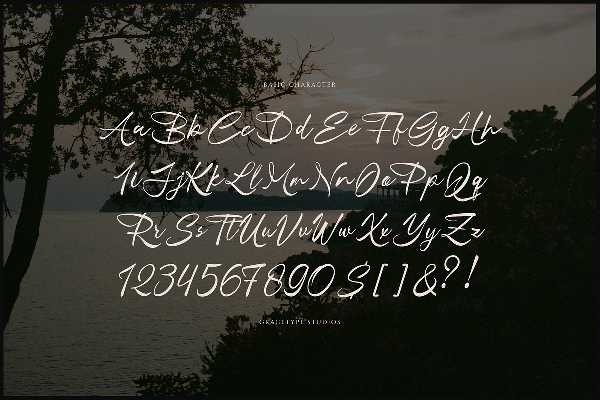 Dialetika | Handwritten Script, a Script Font by gracetype_studio (Photo 10 of 12)