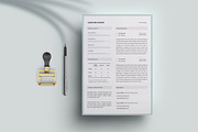 Resume and Cover Letter Template, a Resume Template by Leo Resume (Thumbnail 2 of 7)