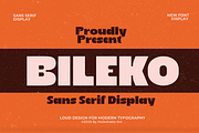 Bileko–Bold Modern SansSerif Display, a Sans Serif Font by MaikoHatta (Thumbnail 1 of 9)