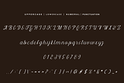 Gettosle - Elegant Script Font, a Handwritten Font by Iqsiart Studio (Thumbnail 2 of 7)