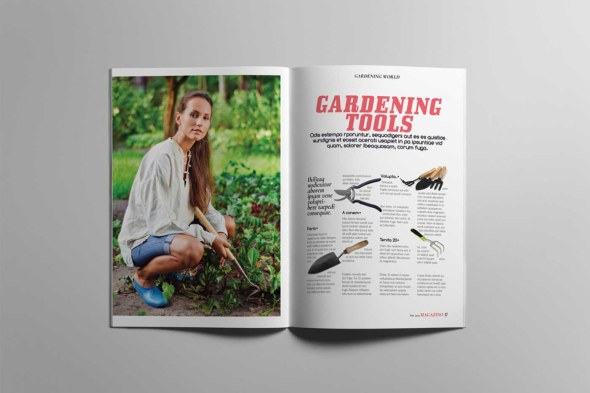 The Best Magazine Layout Design, a Magazine Template by Swayang (Photo 18 of 21)