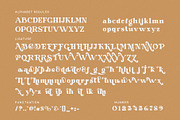 Catie Sidon Elegant Serif Font, a Serif Font by Perfectype (Thumbnail 8 of 8)