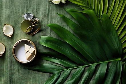 Top view shot of green background tropical palm. Flat lay. Gener, a Background Photo by AS photostudio