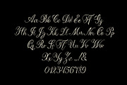 Cordyline - Handdrawn Script, a Script Font by Product Experience (Thumbnail 6 of 8)