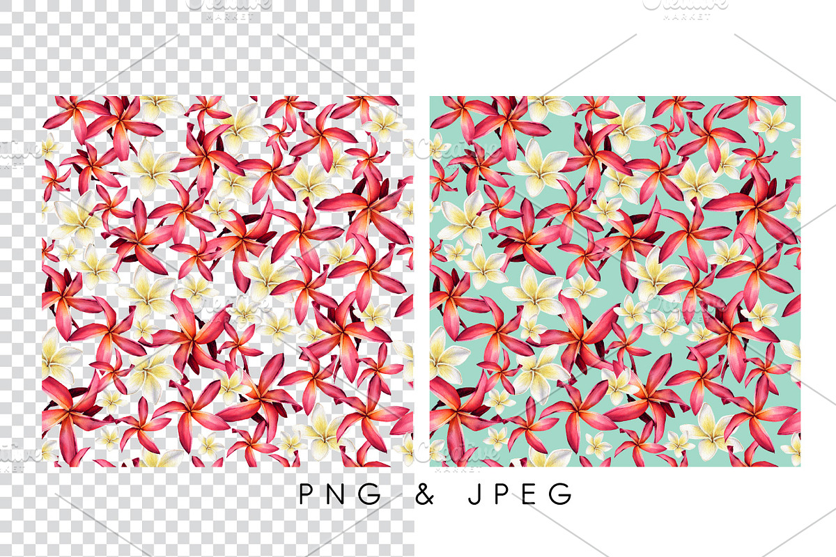 Seamless tropical patterns, a Pattern Graphic by ollalya (Photo 8 of 17)