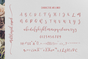 Melloner Fonts