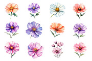 Watercolor Cosmos Flower Clipart, an Illustration by Dream Creation (Thumbnail 2 of 7)