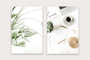 Lifestyle Bundles Collection 5, a Beauty & Fashion Photo by Floral Deco (Thumbnail 2 of 65)