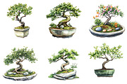 Bonsai Tree Clipart Bundle, a Seasonal Illustration by Designking (Thumbnail 5 of 5)