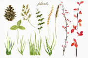 Forest watercolor designer toolkit, an Animal Illustration by Elegantia (Thumbnail 14 of 28)