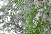 110 Floral Brushes for Illustrator, a Brush Add-On by Elinorka (Thumbnail 6 of 7)