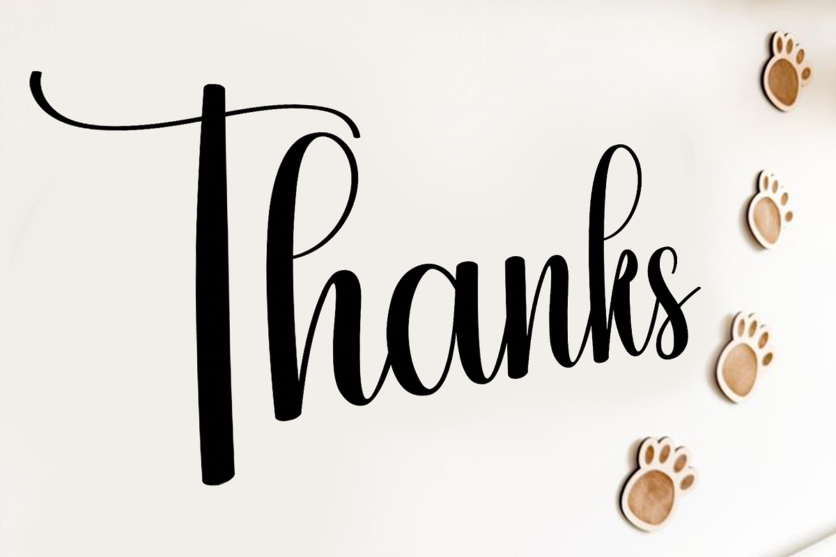 Mountain, a Handwritten Font by FreshTypeINK (Photo 8 of 8)