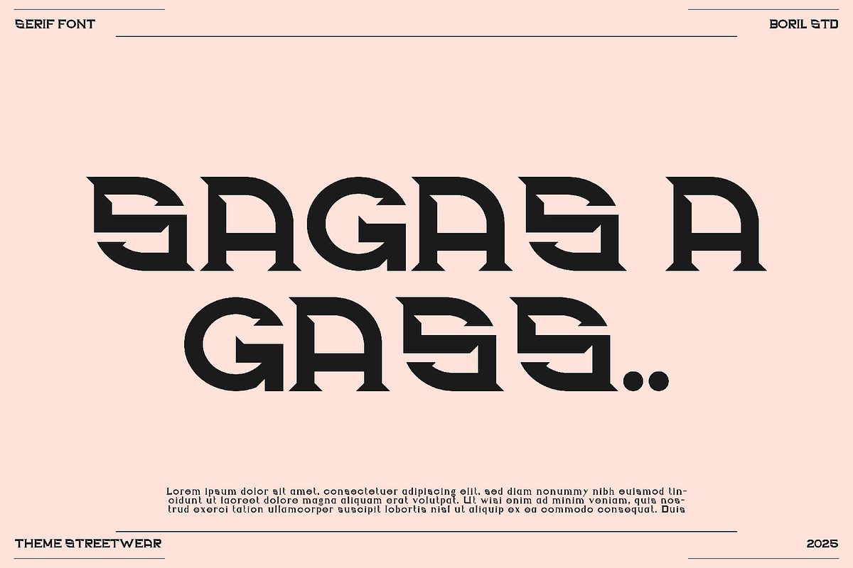 SAGAS - Serif Display Font, a Serif Font by Boril Std (Photo 4 of 14)