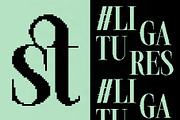 The Silver Editorial Pixel Version, a Serif Font by SilverStag Type Foundry (Thumbnail 15 of 20)