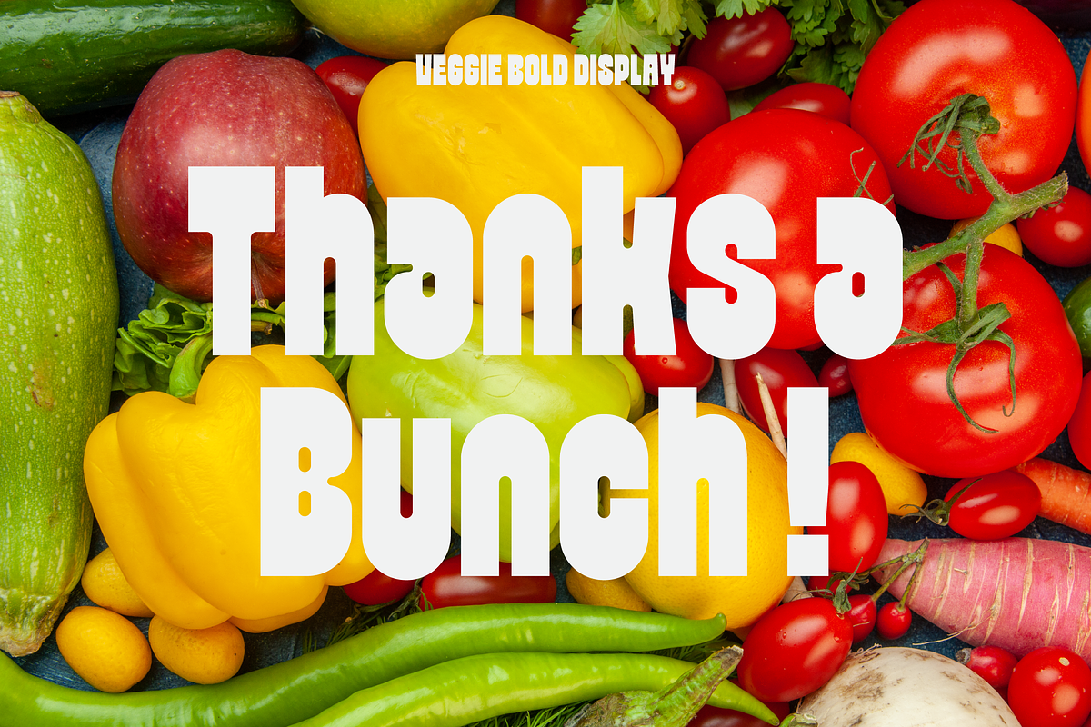 Veggie - Bold Font, a Sans Serif Font by limitype (Photo 13 of 13)