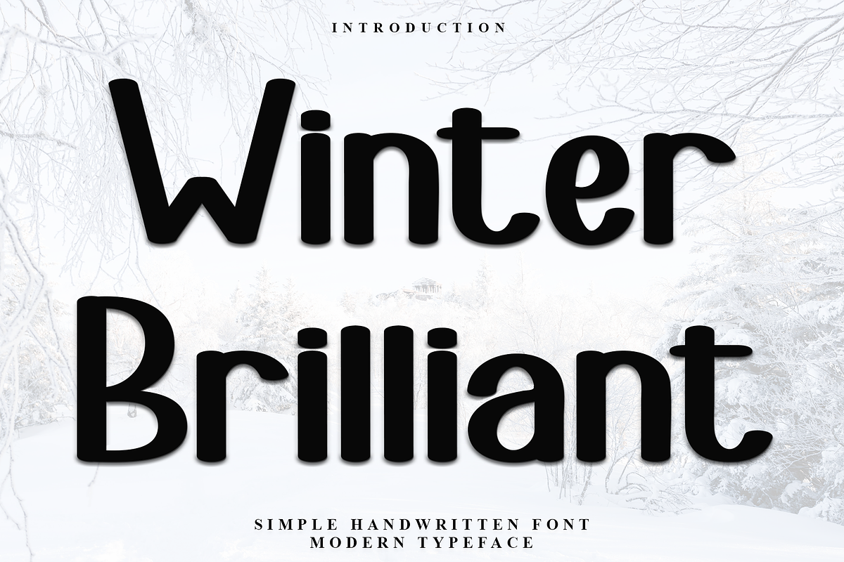 Winter Brilliant, a Script Font by InermediaSTUDIO (Photo 1 of 8)