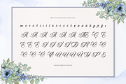 Aurelaydi | Elegant Calligraphy, a Script Font by Denustudios (Thumbnail 11 of 12)