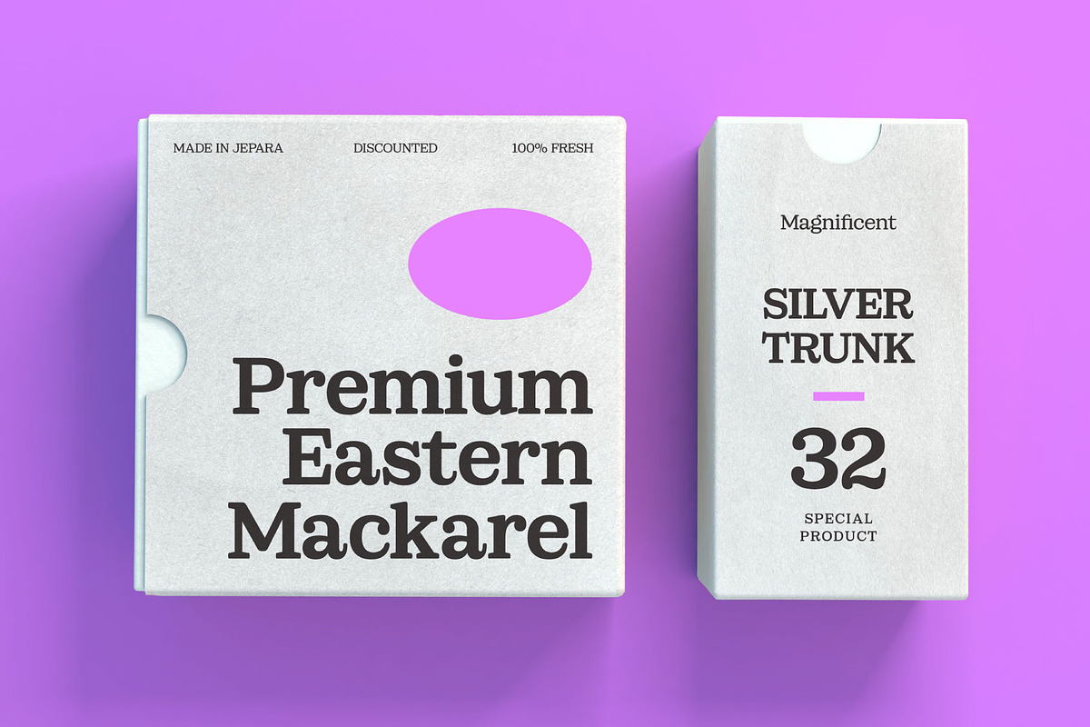 Sailer: Display Serif Font Family, a Serif Font by Eko Bimantara (Photo 14 of 14)