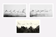 Gret Collection · Egrets in Flight, an Animal Illustration by milatovar (Thumbnail 3 of 17)