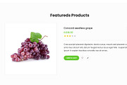 Food Fruit - Organic WooCommerce, a WordPress Template by Panda Theme (Thumbnail 3 of 6)