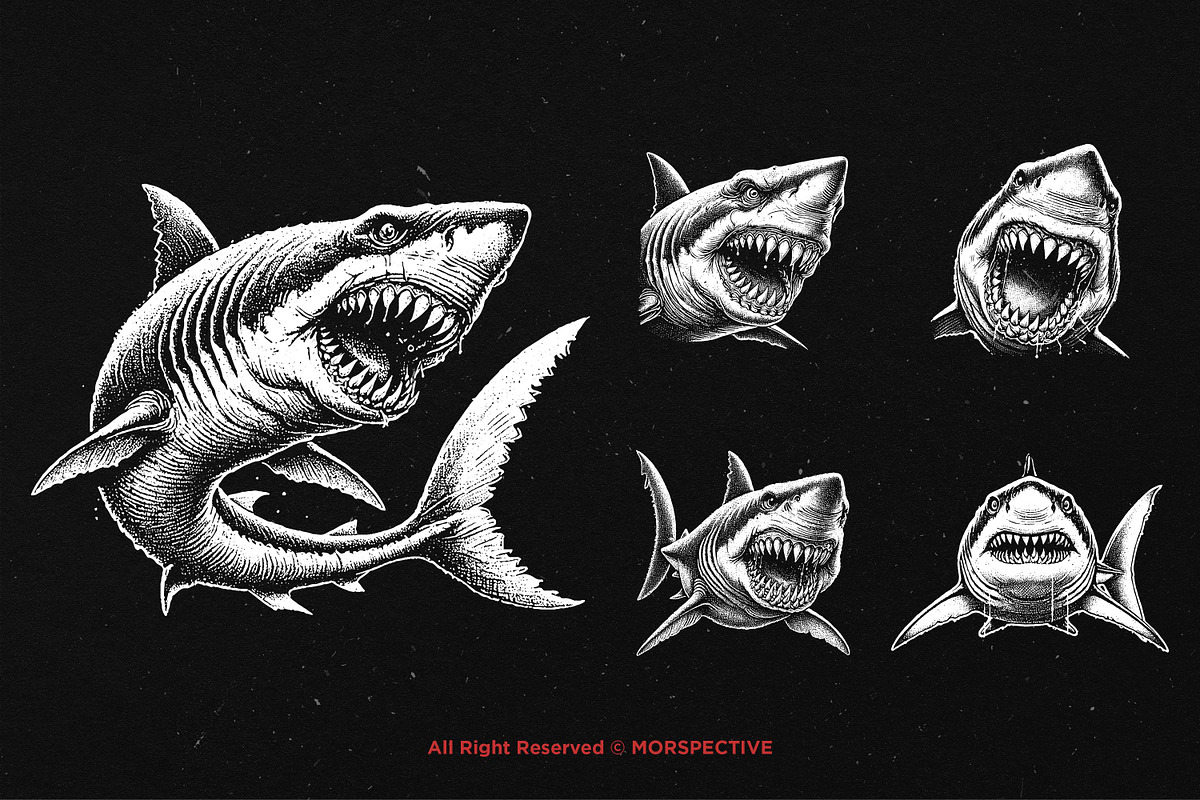10 Bundle Dark Art Shark Fish Beast, an Illustration by Morspective (Photo 5 of 7)