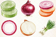 Watercolor Onion Clipart, an Illustration by Libby Wishes (Thumbnail 2 of 6)
