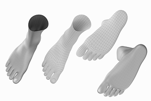 Human Feet Standing Base Mesh