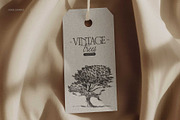 Hand-Drawn Trees Illustration Set, an Object Graphic by TheMountBirdStudio (Thumbnail 4 of 6)