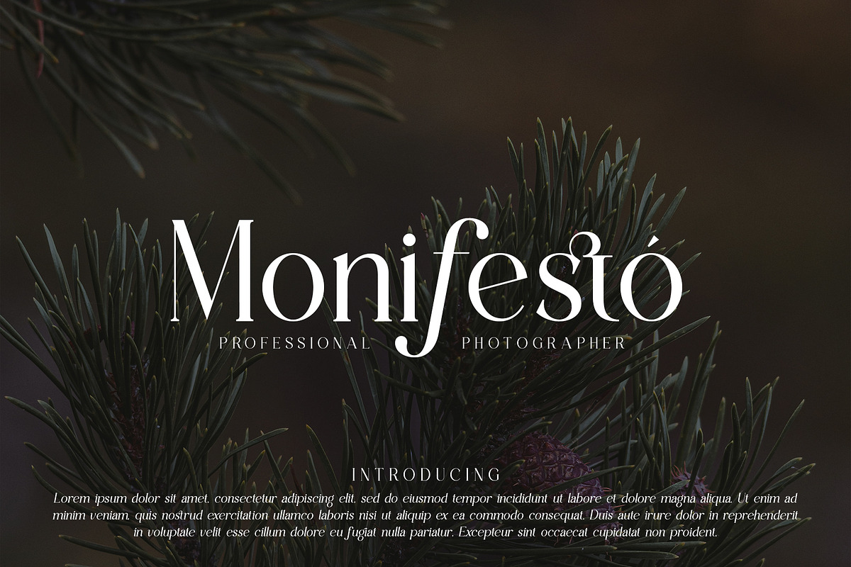 Esence Visting - New Stylish Serif, a Serif Font by Idea Studio (Photo 8 of 20)