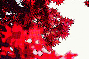 Kaisaku Halftone Illustration Effect, an Action Add-On by Dene Studios (Thumbnail 17 of 17)