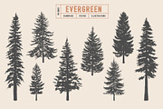 Woodland Tree Set | Illustrations, an Illustration by Max Lockwood (Thumbnail 4 of 6)