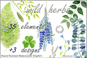 Warecolour clipart Wild herbs, a Healthcare Illustration by AqwaColor (Thumbnail 1 of 4)