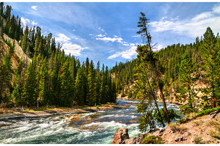 Yellowstone River Flowing Between, a Nature Photo by Leonid Andronov
