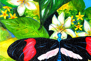 Tropical Butterfly Hand Painted Art, an Animal Illustration by Sharon Schwalbe (Thumbnail 1 of 2)