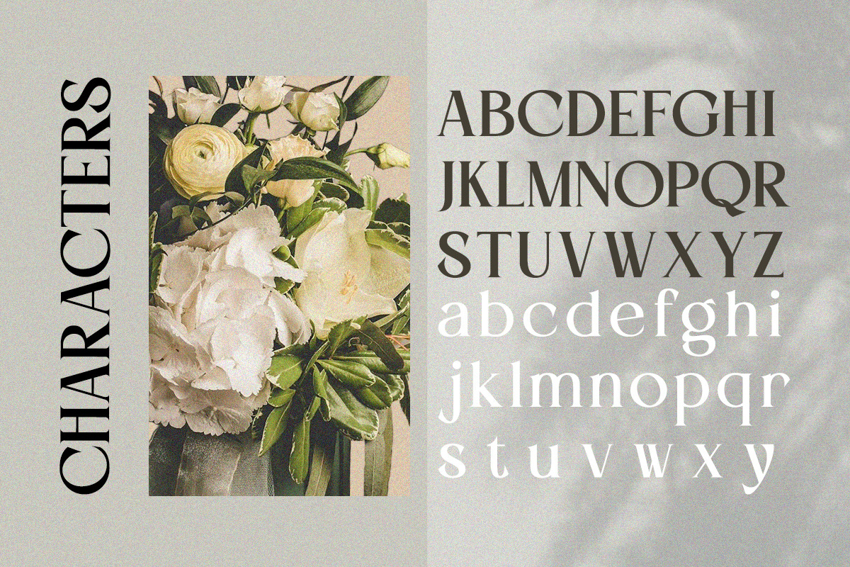 Vlatcho - Elegant Refined Serif, a Serif Font by Qweera Studio (Photo 9 of 12)