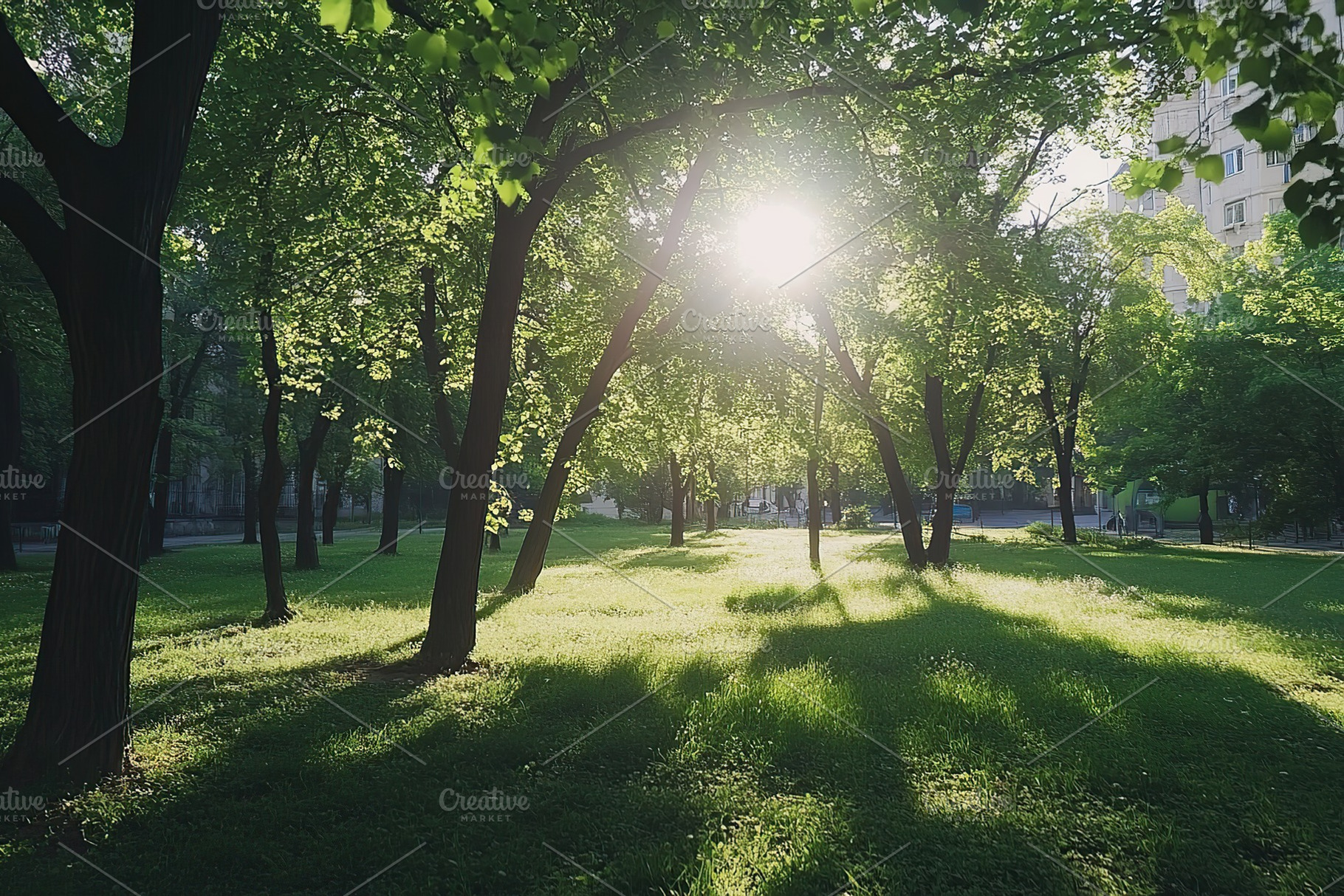Green grass with trees and sun rays in the park, a Photo by AlyaAnd