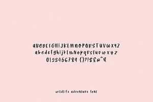 Wildlife Adventure Font