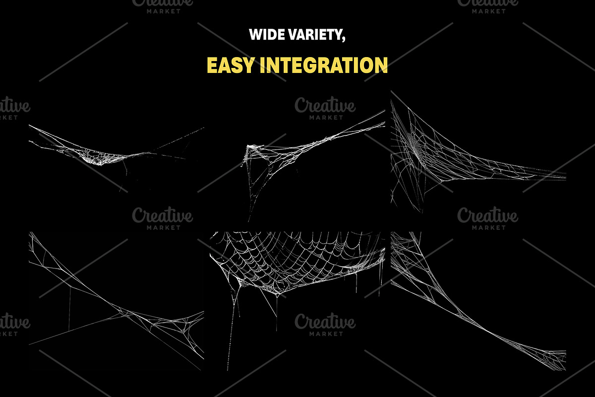 200+ Spider Web Overlays, a Nature Photo by Mikel Blazgad (Photo 3 of 10)
