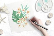 Alba Tropicale | Vector patterns set, a Pattern Graphic by Tanya Vollar (Thumbnail 4 of 11)