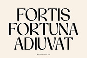 Vorage | Modern Minimalist Typeface, a Serif Font by Mahesans Co (Thumbnail 3 of 10)
