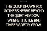 TAN-THISTLE-A DISPLAY FONT, a Slab Serif Font by TanType (Thumbnail 10 of 10)