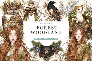 Forest Woodland Clipart Bundle, an Object Illustration by BusyDaydesign